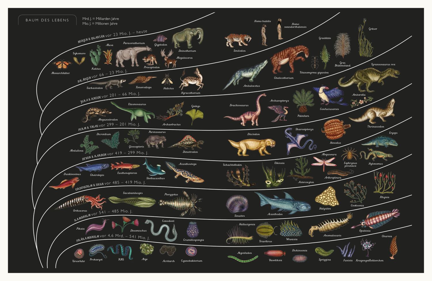 Bild: 9783791373089 | Die Entstehung des Lebens. Evolution | Eintritt frei! | Munro (u. a.)