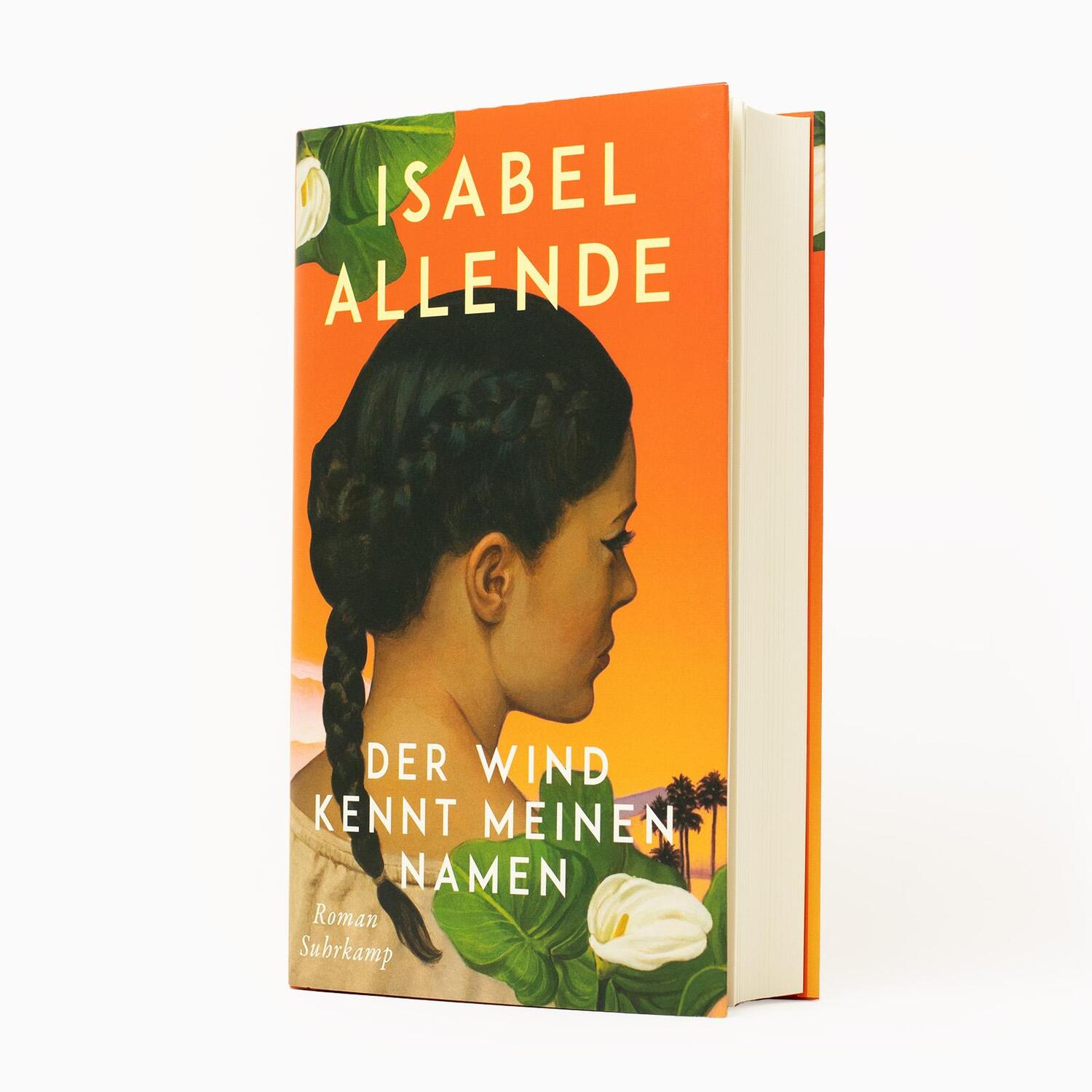 Bild: 9783518432006 | Der Wind kennt meinen Namen | Isabel Allende | Buch | 335 S. | Deutsch