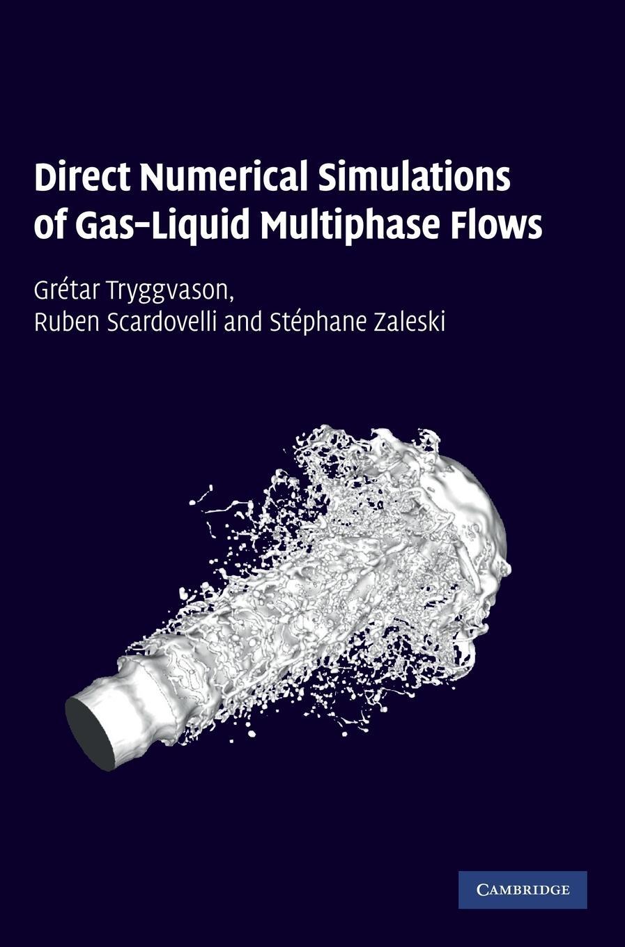 Cover: 9780521782401 | Direct Numerical Simulations of Gas-Liquid Multiphase Flows | Buch