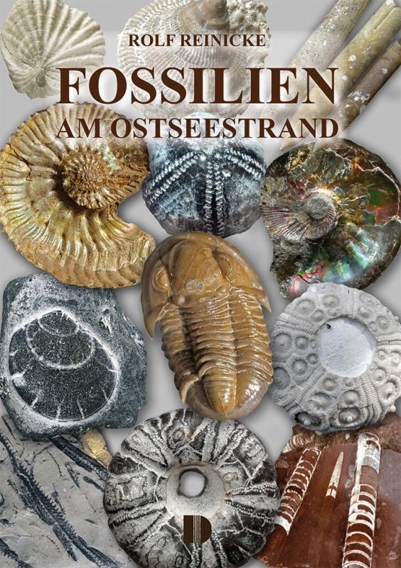 Cover: 9783944102368 | Fossilien am Ostseestrand | Rolf Reinicke | Taschenbuch | Deutsch