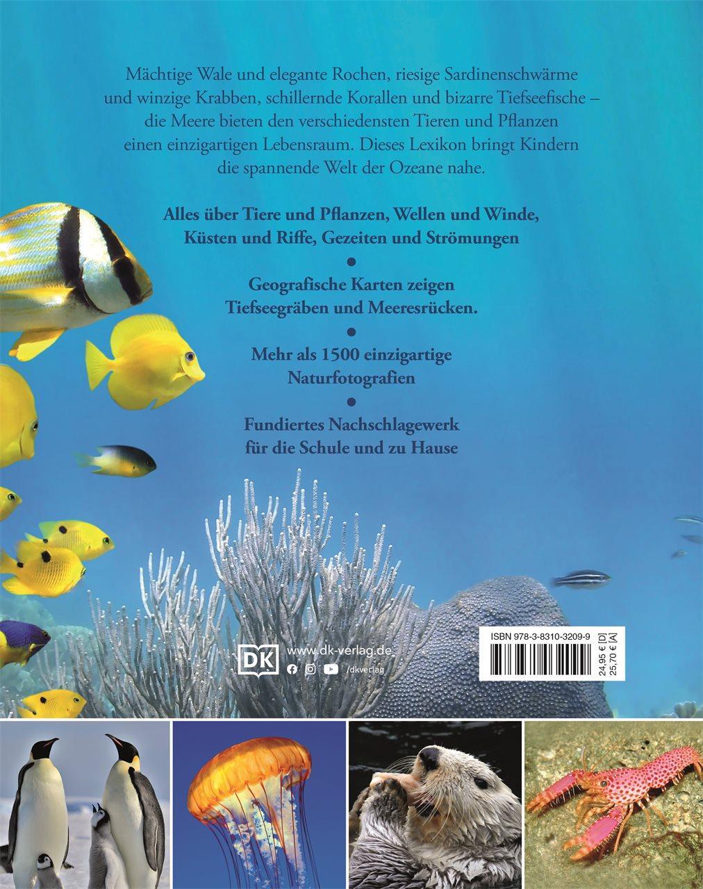 Rückseite: 9783831032099 | Ozeane für clevere Kids | Buch | 256 S. | Deutsch | 2017