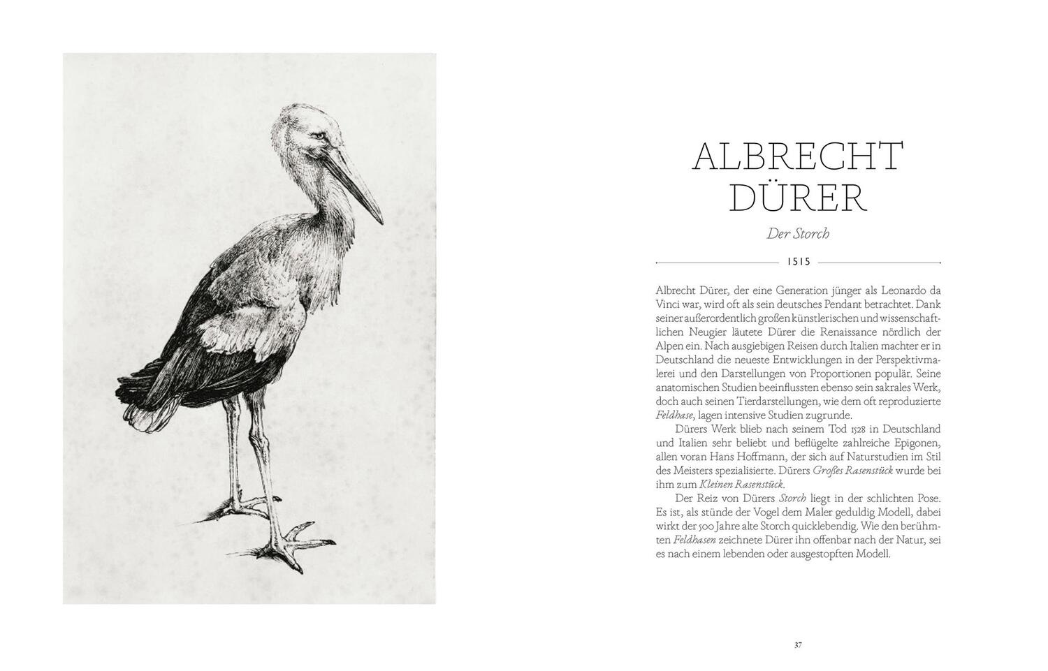Bild: 9783832199807 | Vögel in der Kunst | Angus Hyland (u. a.) | Taschenbuch | 160 S.
