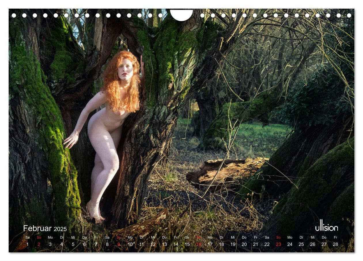 Bild: 9783435337989 | Lieblingsbäume - eins mit der Natur (Wandkalender 2025 DIN A4...