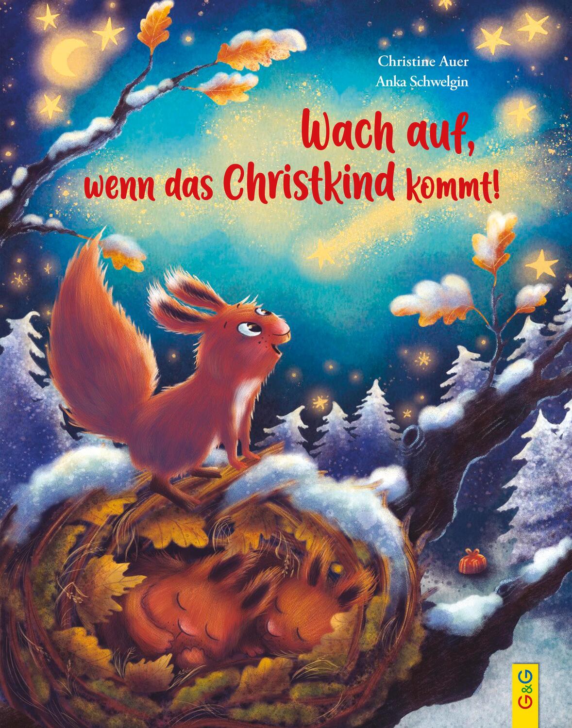 Cover: 9783707425833 | Wach auf, wenn das Christkind kommt! | Christine Auer | Buch | 32 S.