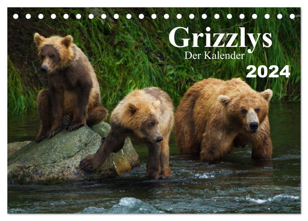 Cover: 9783383583674 | Grizzlys - Der Kalender CH-Version (Tischkalender 2024 DIN A5...