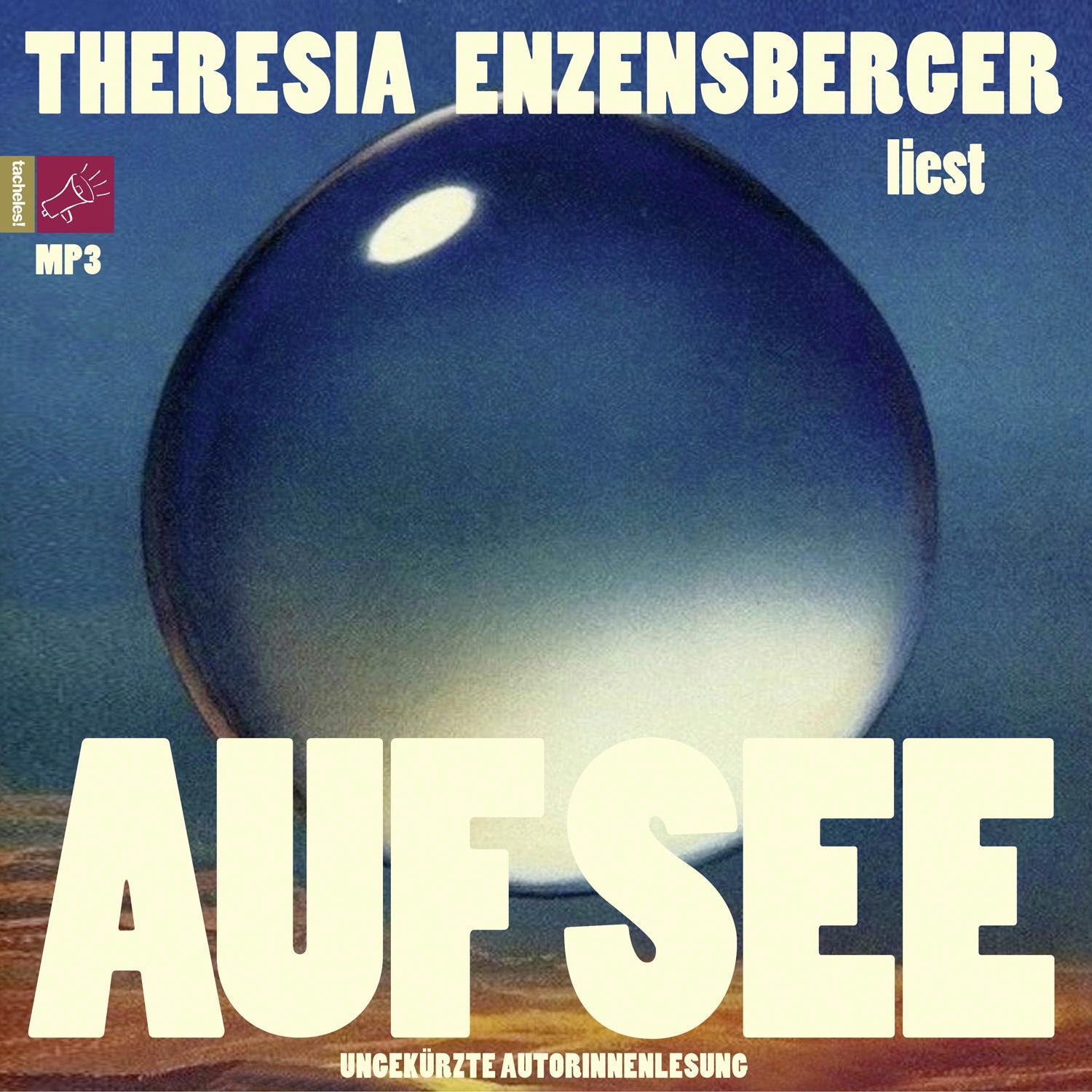 Cover: 9783864847776 | Auf See | Roman | Theresia Enzensberger | MP3 | Deutsch | 2022