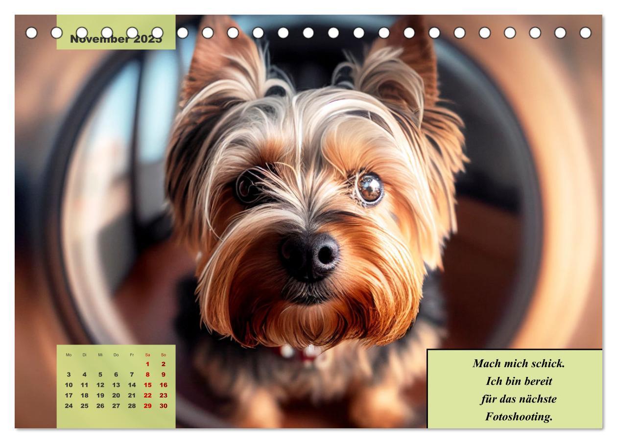 Bild: 9783383876707 | Der humoristische Yorkshire Terrier Kalender (Tischkalender 2025...