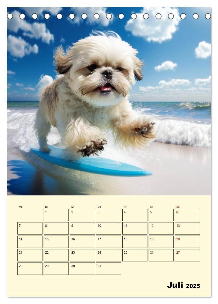 Bild: 9783435874514 | Shih Tzu Alarm. Glückliche Wuschelköpfe (Tischkalender 2025 DIN A5...