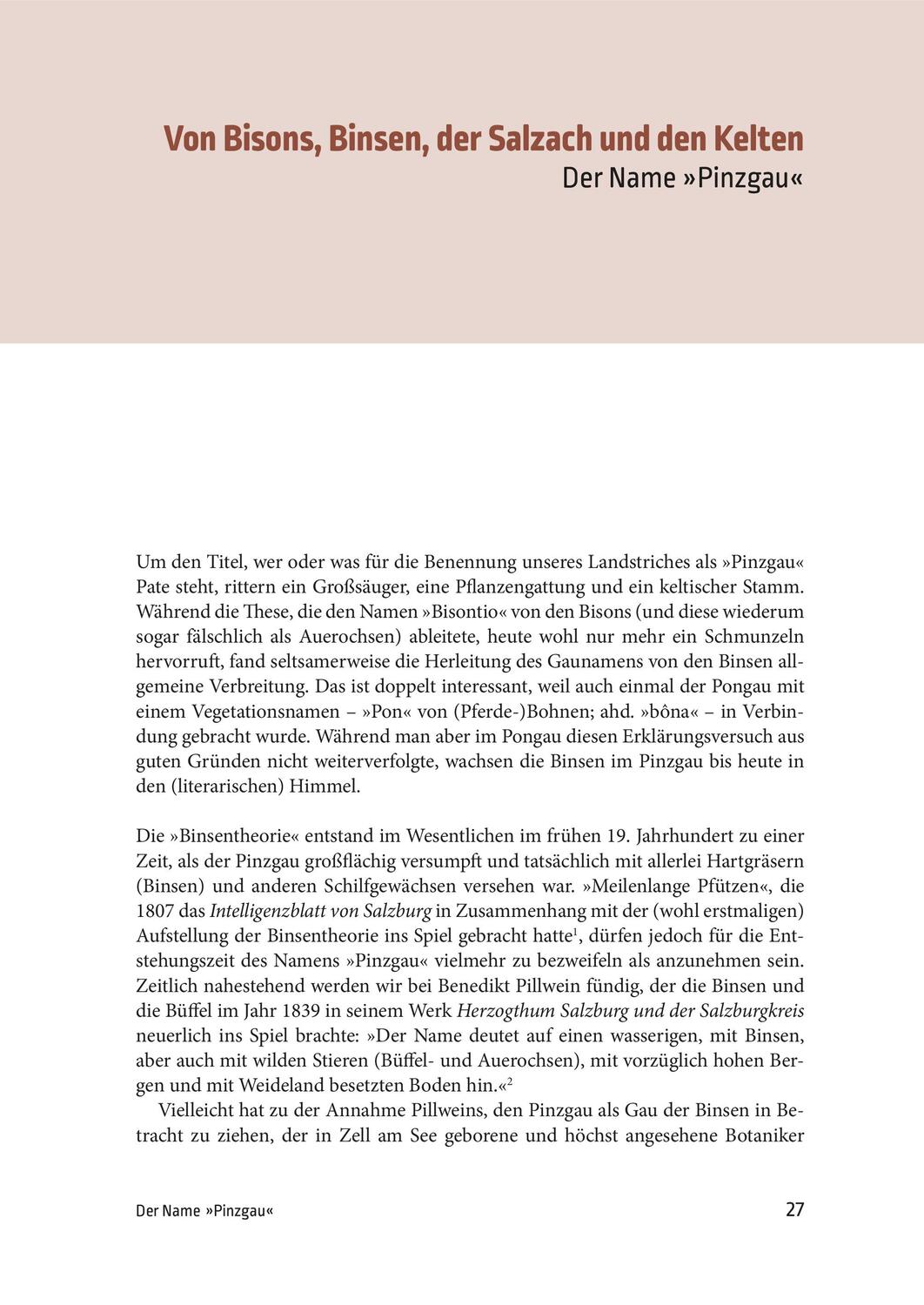 Bild: 9783702510770 | Geschichte des Pinzgaus | Rainer Hochhold | Buch | 264 S. | Deutsch
