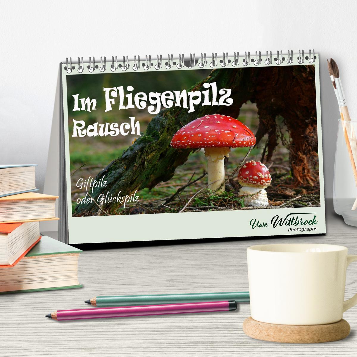 Bild: 9783383921834 | Im Fliegenpilz Rausch (Tischkalender 2025 DIN A5 quer), CALVENDO...