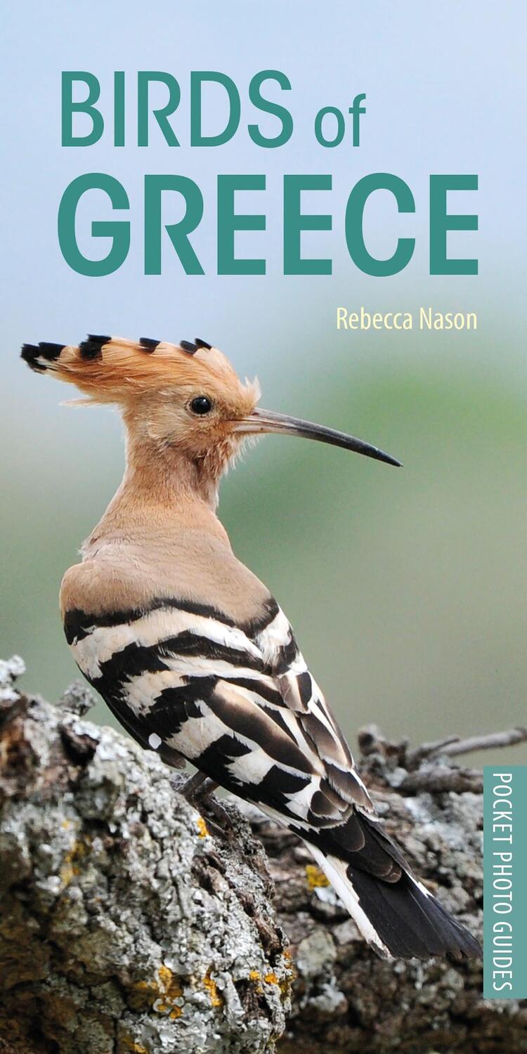 Cover: 9781472949035 | Birds of Greece | Rebecca Nason | Taschenbuch | Pocket Photo Guides