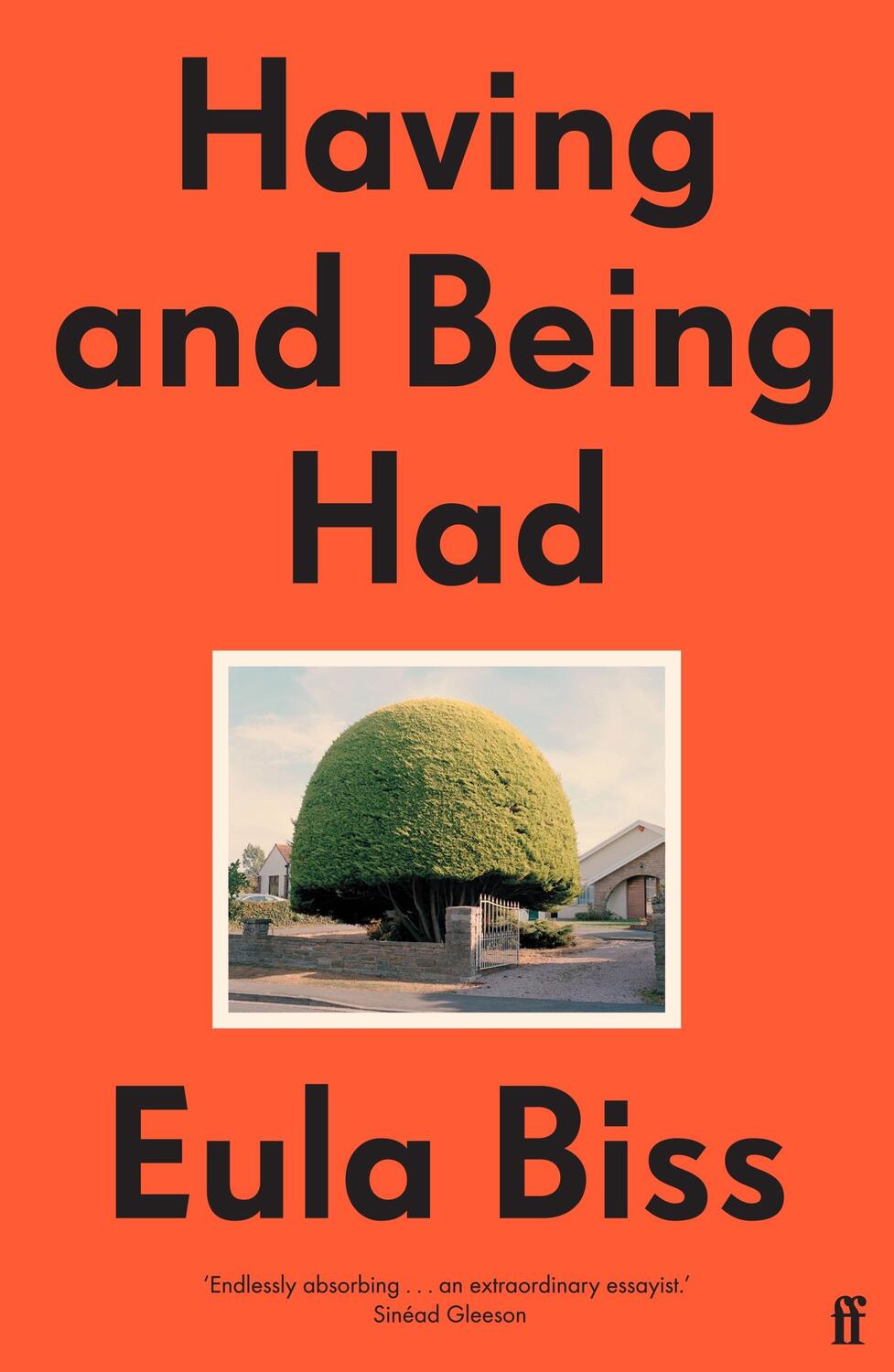 Cover: 9780571346431 | Having and Being Had | Eula Biss | Taschenbuch | Englisch | 2023