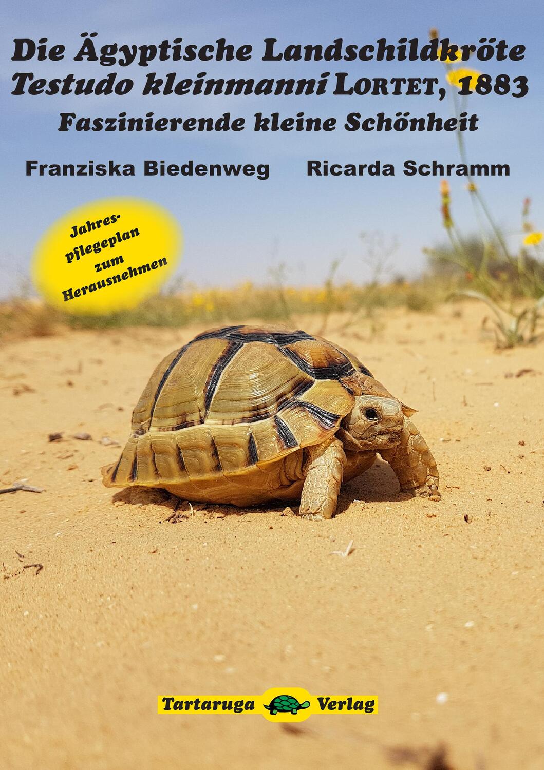 Cover: 9783000599248 | Die Ägyptische Landschildkröte Testudo kleinmanni LORTET, 1883 | Buch
