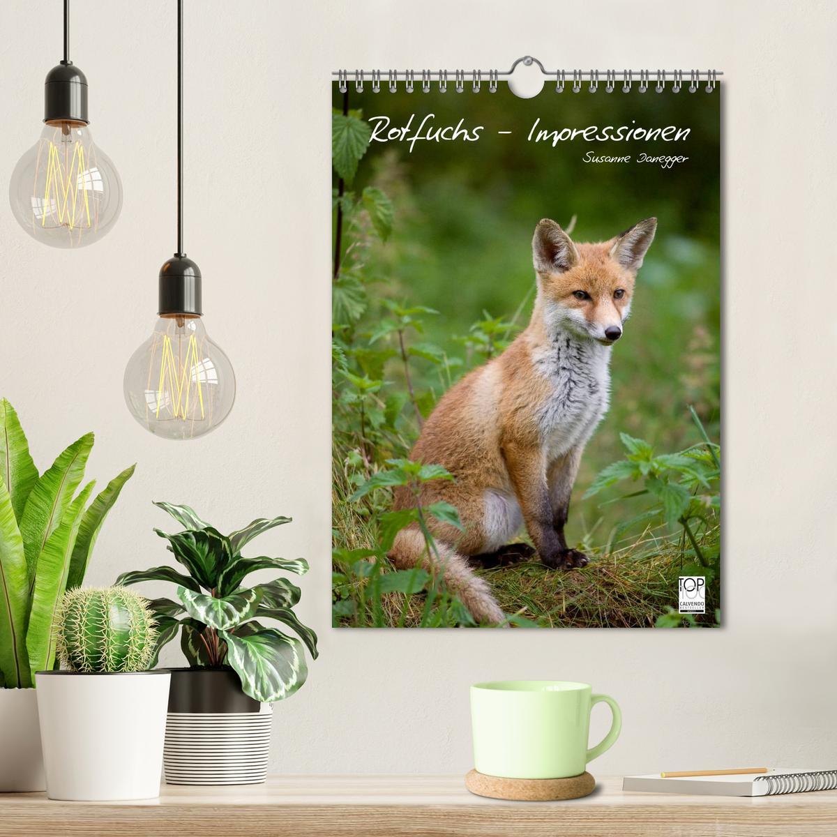 Bild: 9783457087008 | Rotfuchs - Impressionen (Wandkalender 2025 DIN A4 hoch), CALVENDO...