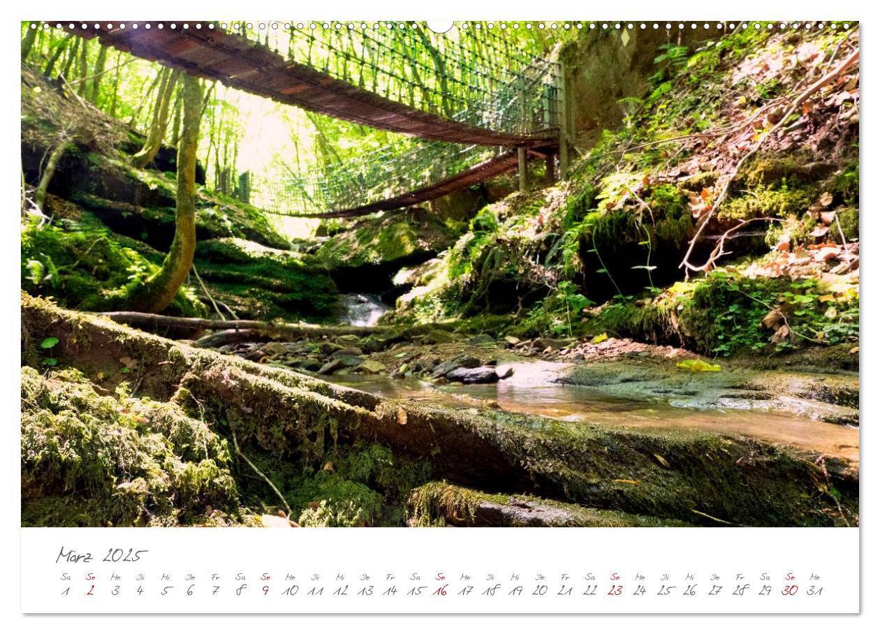 Bild: 9783435580088 | Erlebnis Eifel (Wandkalender 2025 DIN A2 quer), CALVENDO...