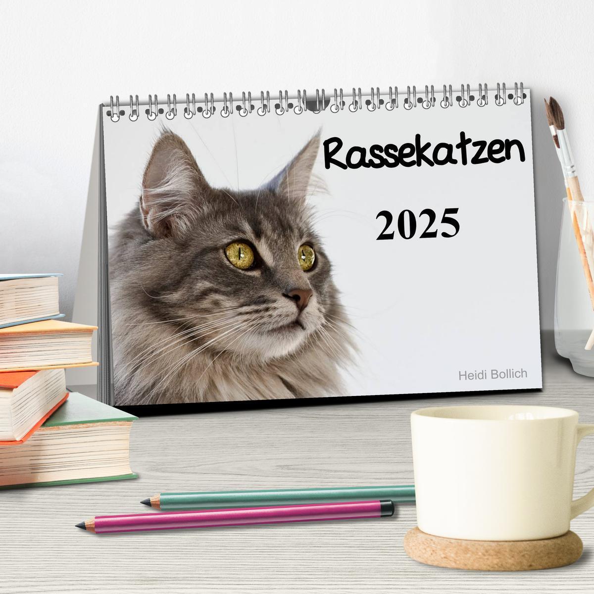 Bild: 9783435705290 | Rassekatzen 2025 (Tischkalender 2025 DIN A5 quer), CALVENDO...