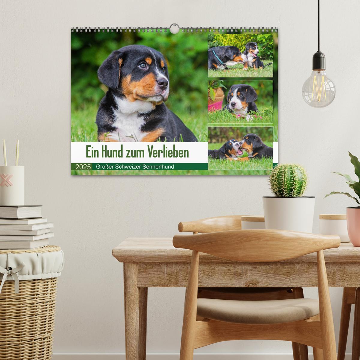 Bild: 9783435209033 | Ein Hund zum Verlieben - Großer Schweizer Sennenhund (Wandkalender...