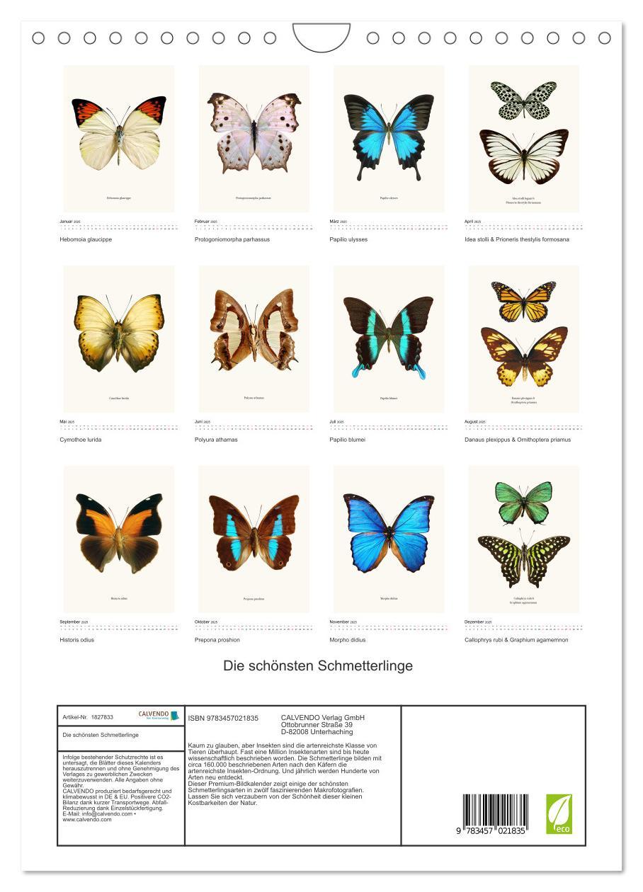 Bild: 9783457021835 | Die schönsten Schmetterlinge (Wandkalender 2025 DIN A4 hoch),...
