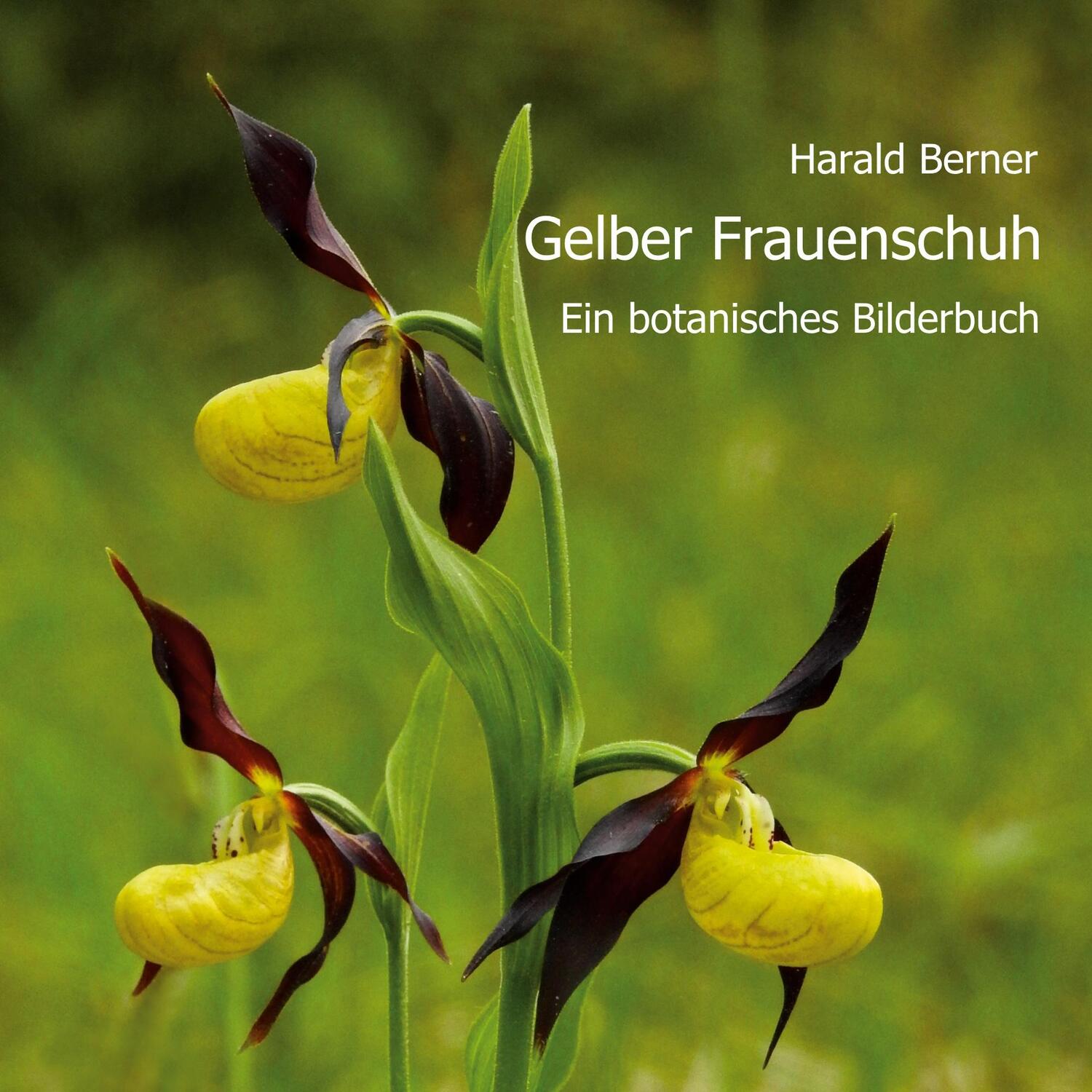 Cover: 9783757828127 | Gelber Frauenschuh | Ein botanisches Bilderbuch | Harald Berner | Buch