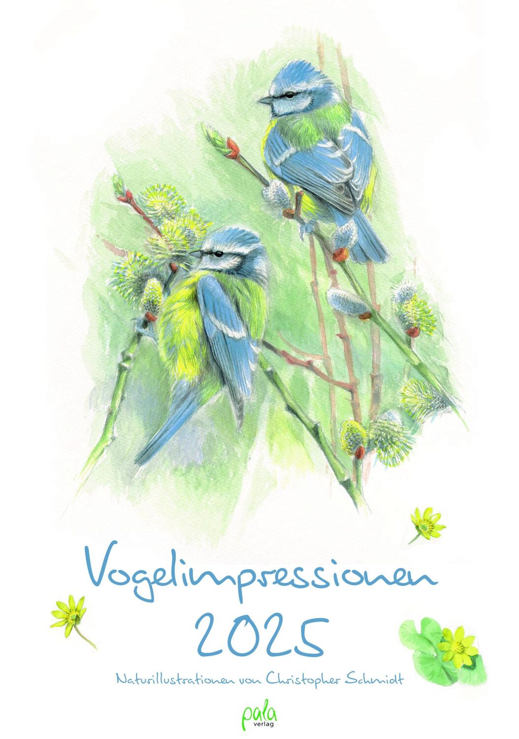 Cover: 9783895664373 | Vogelimpressionen 2025 | Naturillustrationen von Christopher Schmidt