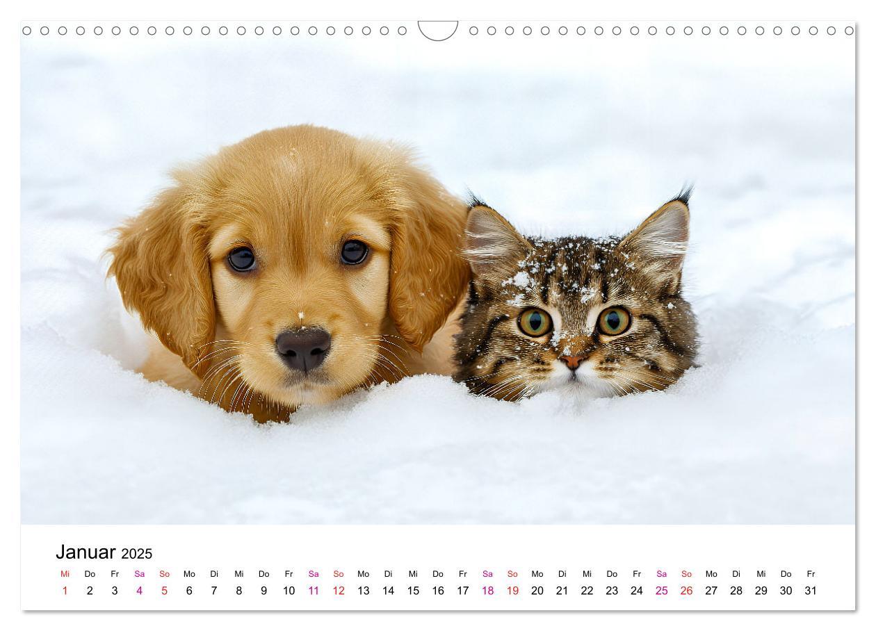 Bild: 9783457218280 | Katzenzauber - Samtpfoten im Jahreslauf (Wandkalender 2025 DIN A3...