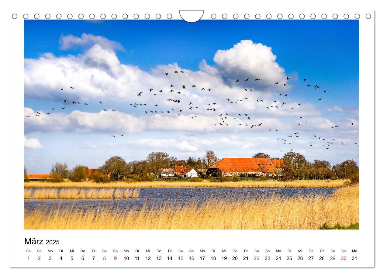 Bild: 9783435495160 | OSTFRIESLAND Strand und Mee(h)r (Wandkalender 2025 DIN A4 quer),...