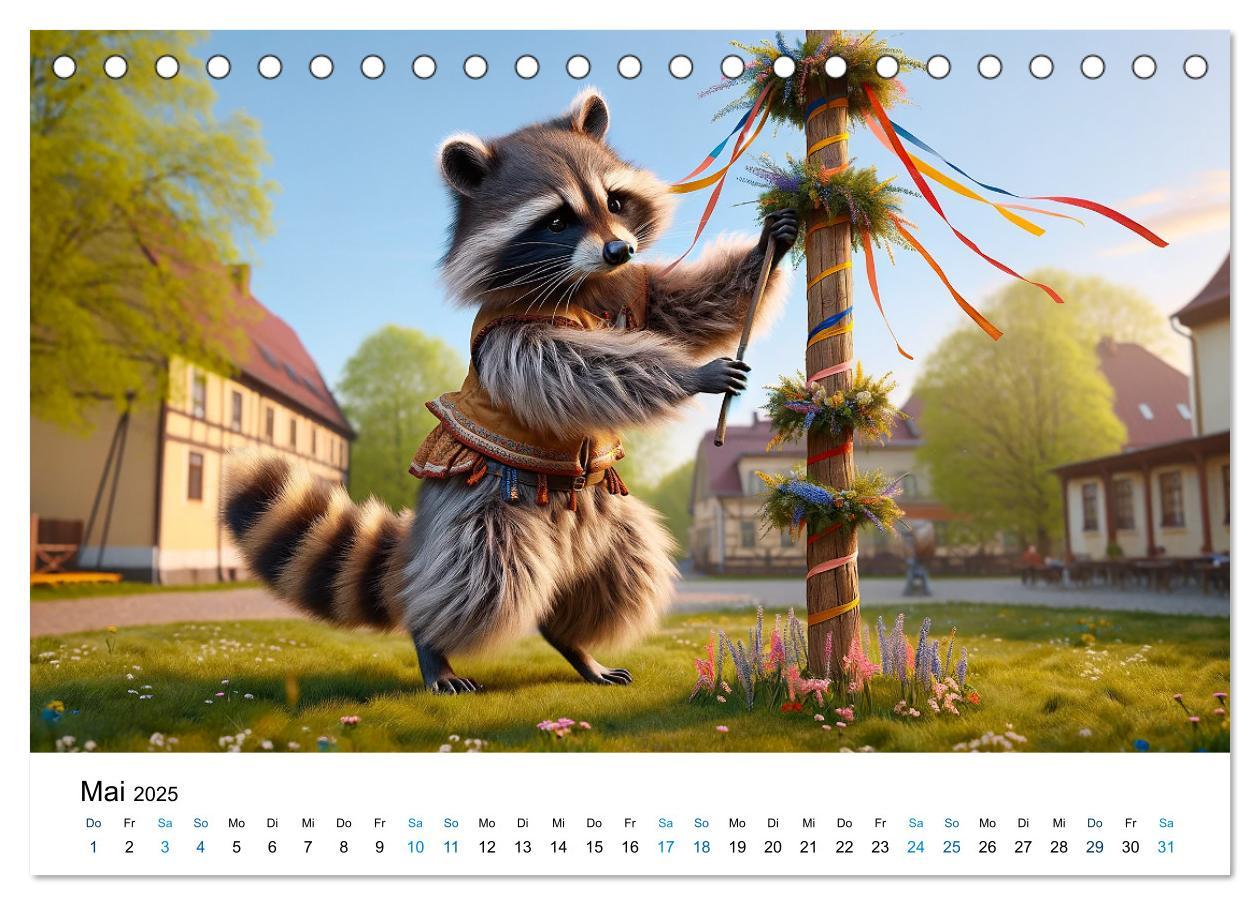 Bild: 9783383775383 | Lustige Waschbären (Tischkalender 2025 DIN A5 quer), CALVENDO...