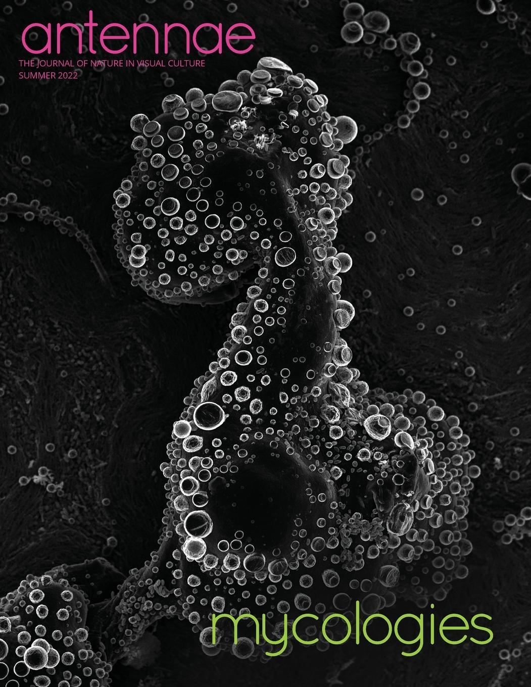 Cover: 9783689760199 | Antennae #58 Mycologies | Merlin Sheldrake (u. a.) | Taschenbuch