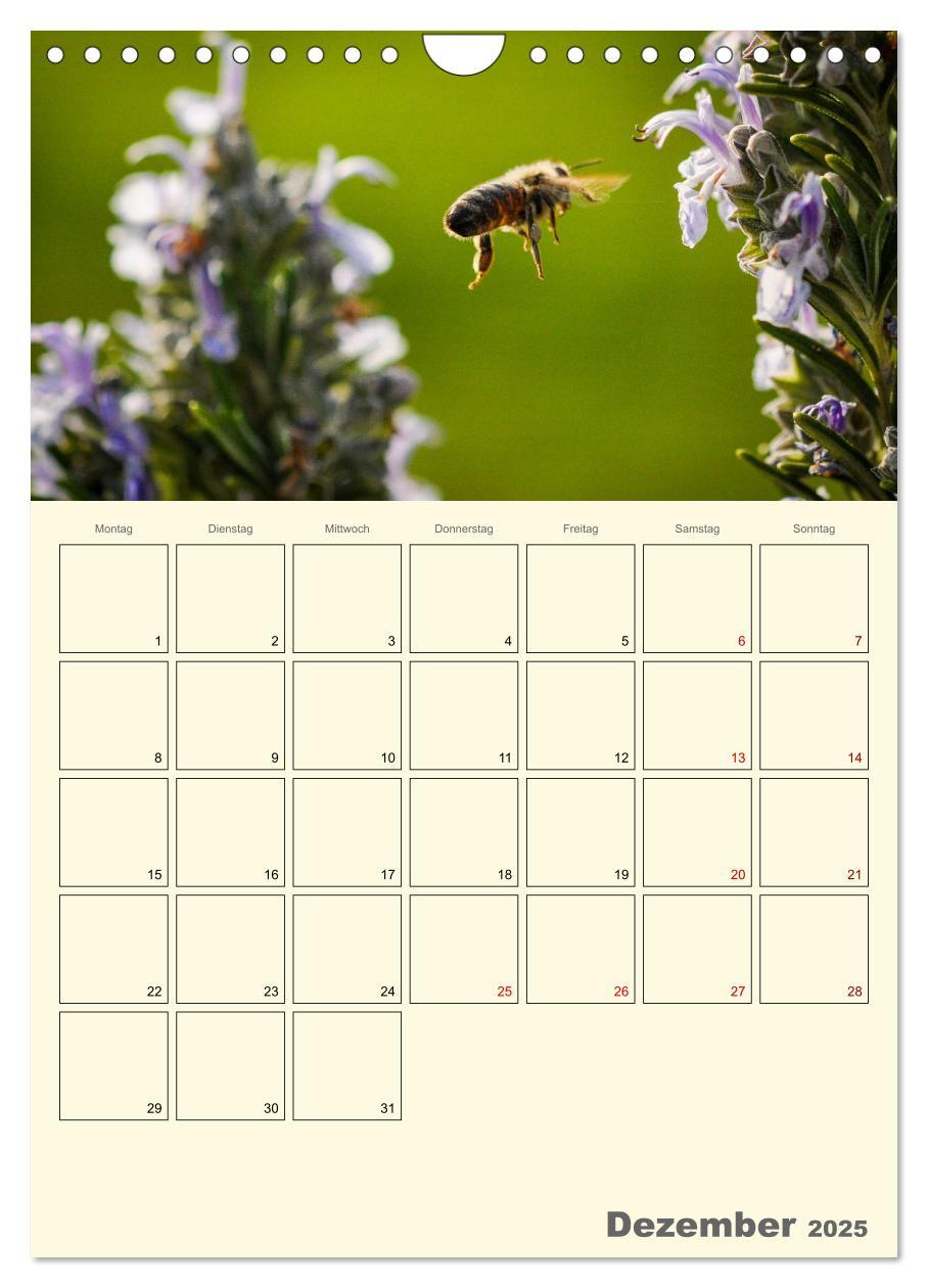 Bild: 9783435958023 | Bienen im Naturgarten (Wandkalender 2025 DIN A4 hoch), CALVENDO...