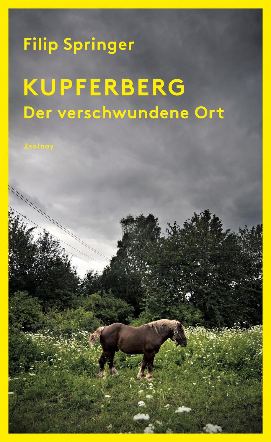 Cover: 9783552059085 | Kupferberg | Der verschwundene Ort | Filip Springer | Buch | Deutsch