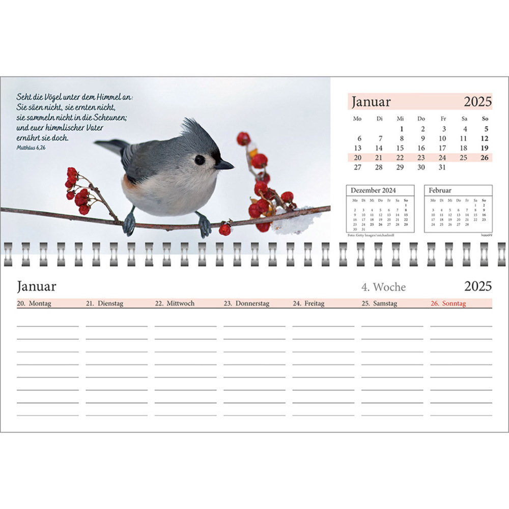 Bild: 9783754825457 | In deine Hand leg ich den Tag 2025 | Wochen-Tischkalender | Kalender