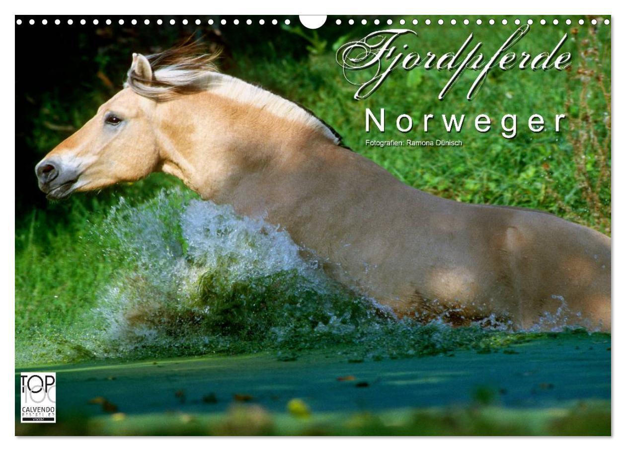 Cover: 9783675638709 | Fjordpferde - Norweger (Wandkalender 2024 DIN A3 quer), CALVENDO...