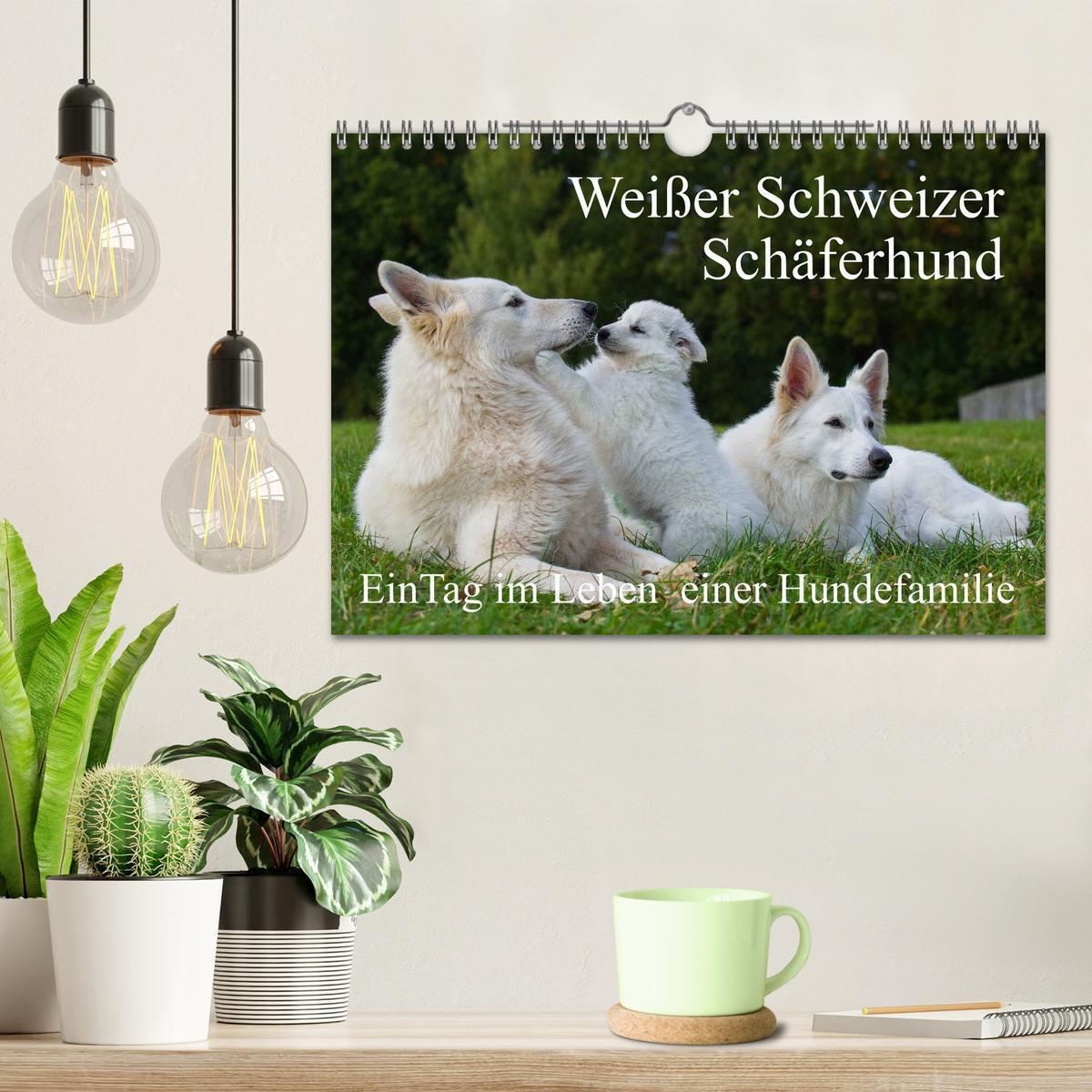 Bild: 9783435759583 | Weißer Schweizer Schäferhund - Ein Tag im Leben einer Hundefamilie...