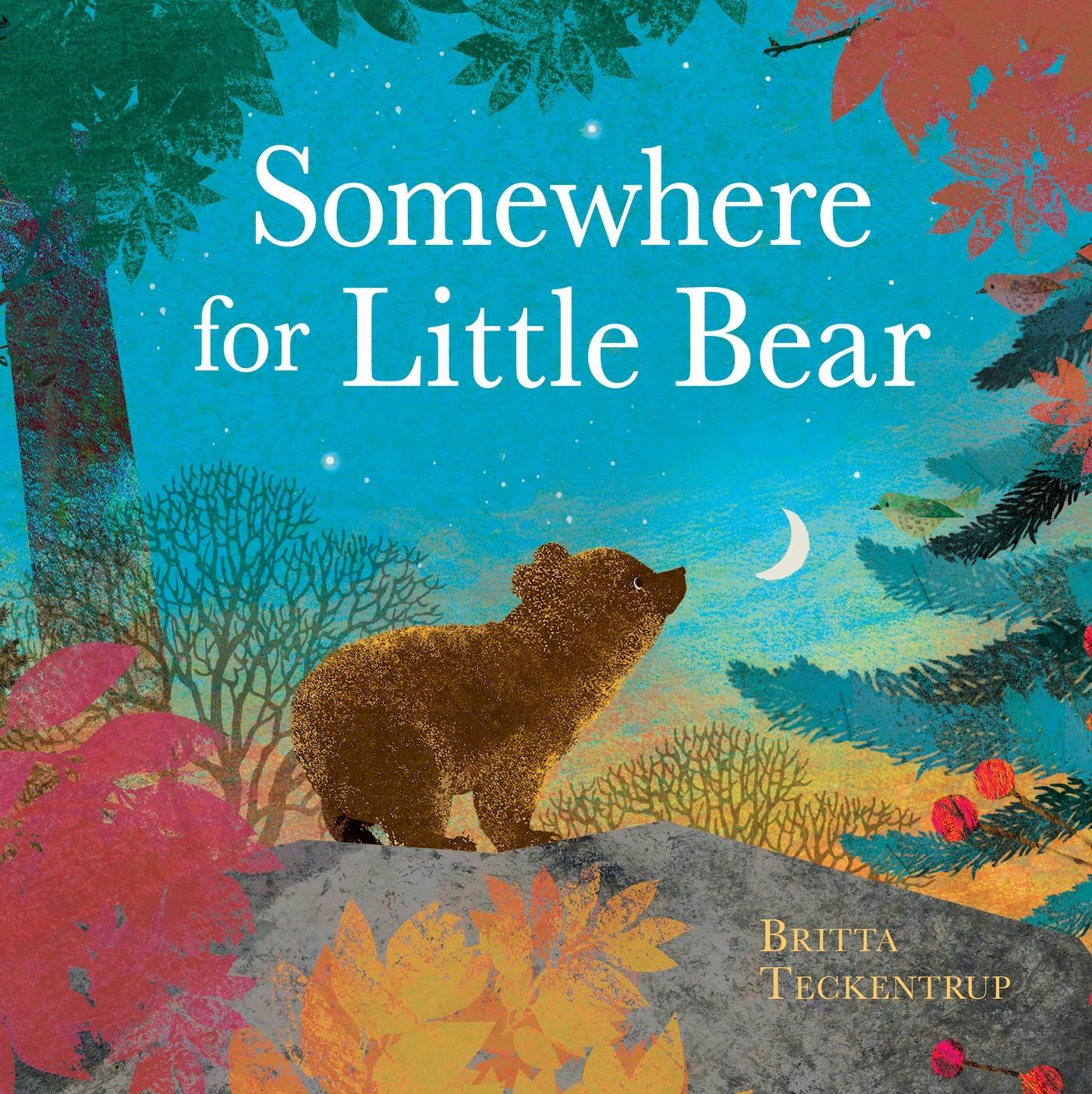 Cover: 9781408359716 | Somewhere for Little Bear | Britta Teckentrup | Buch | Englisch | 2024