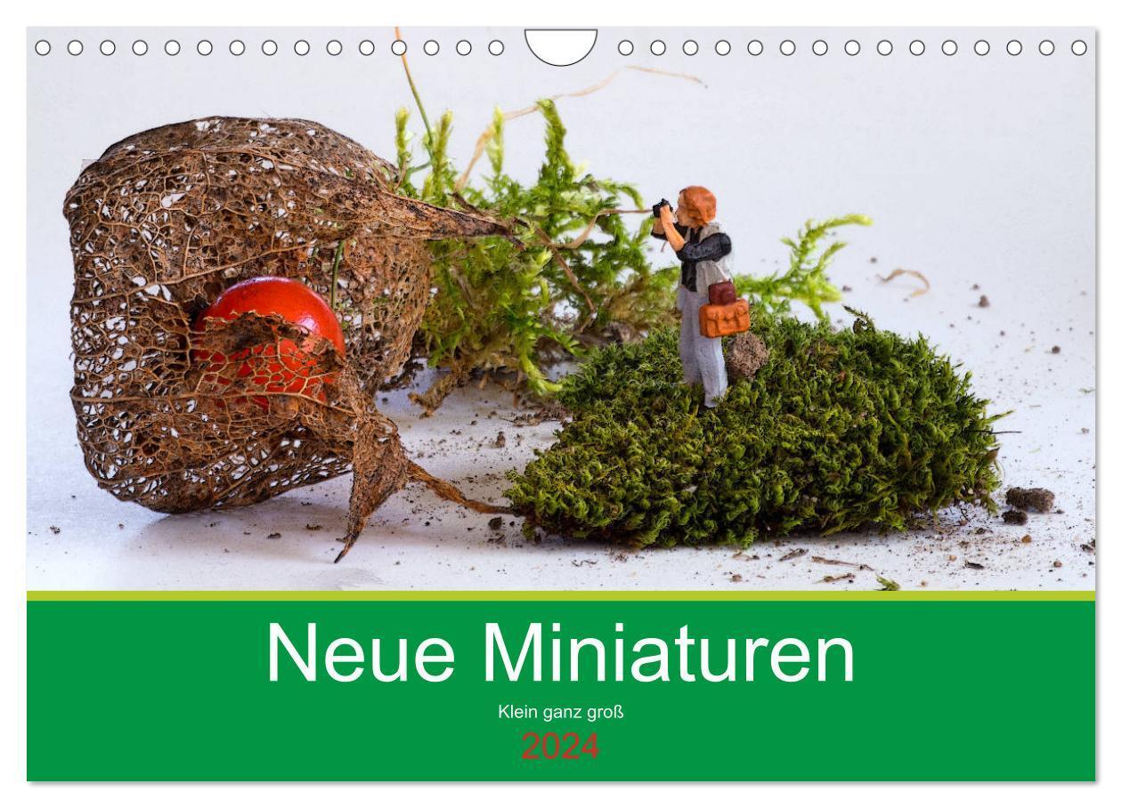 Cover: 9783675516953 | Neue Miniaturen - Klein ganz groß 2.0 (Wandkalender 2024 DIN A4...