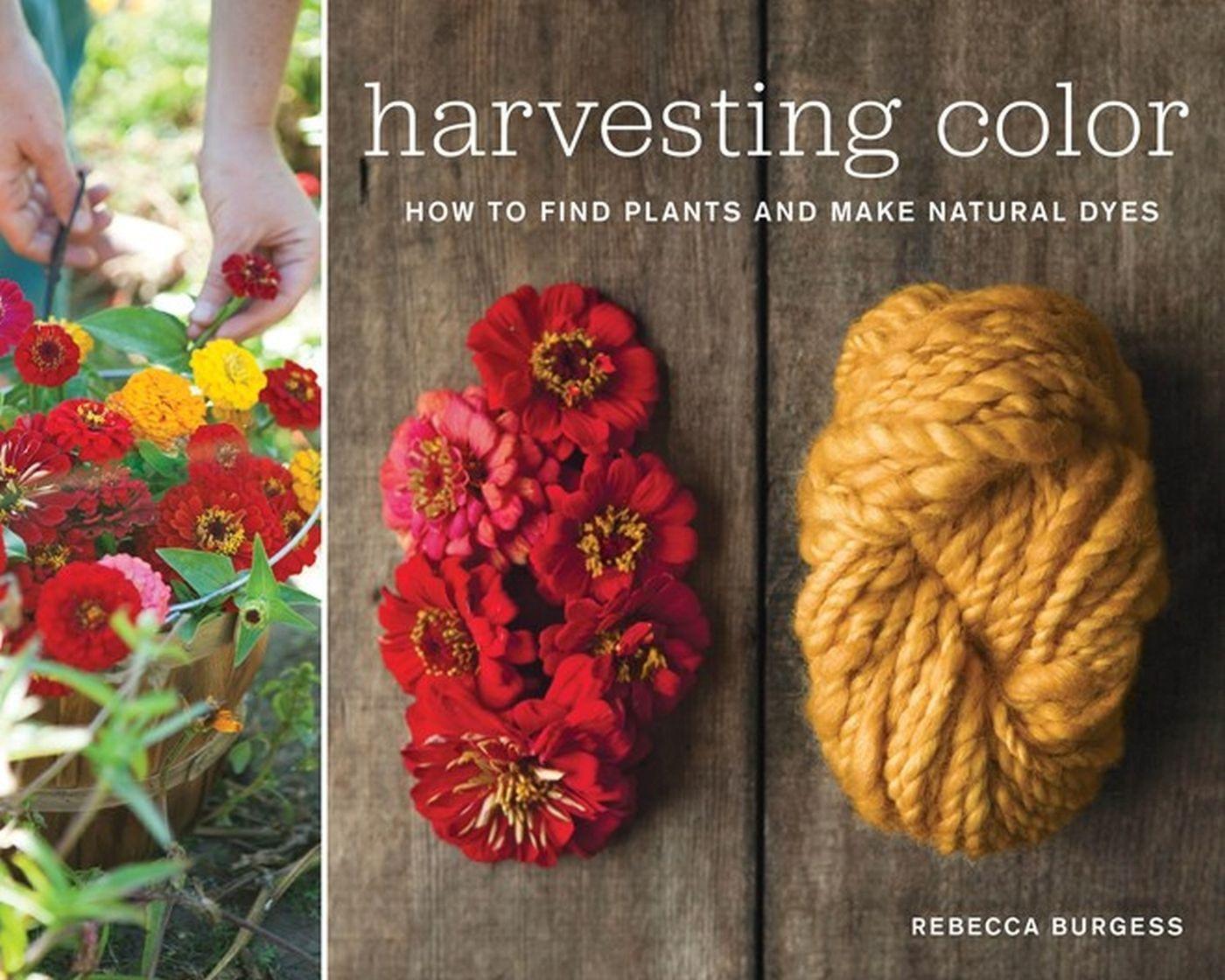Cover: 9781579654252 | Harvesting Color: How to Find Plants and Make Natural Dyes | Burgess