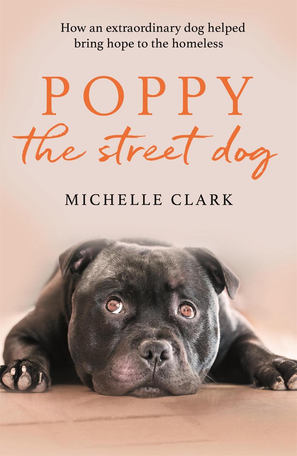 Cover: 9781409195436 | Poppy The Street Dog | Michelle Clark | Taschenbuch | Englisch | 2020