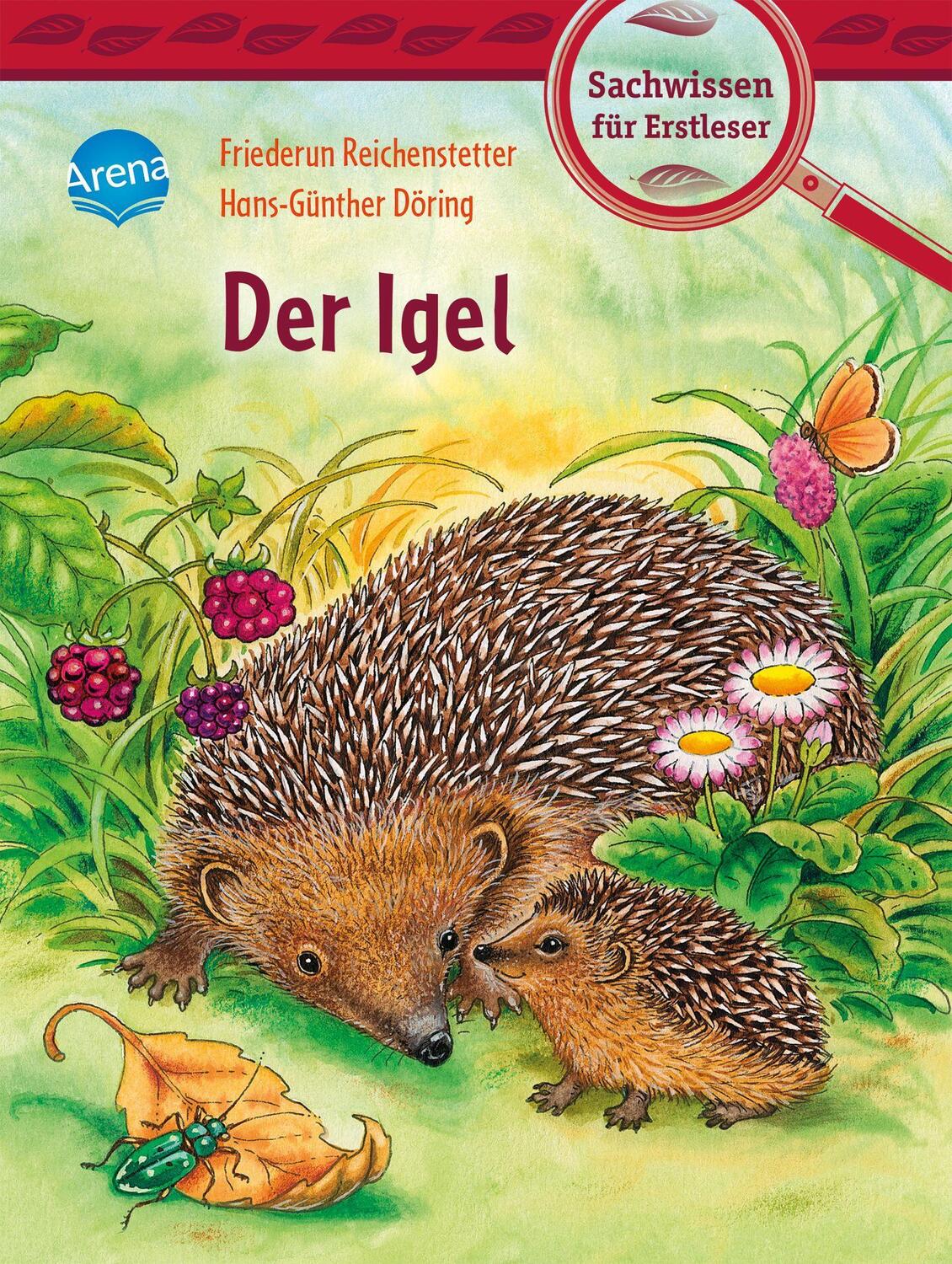 Cover: 9783401717241 | Der Igel | Sachwissen für Erstleser | Friederun Reichenstetter | Buch