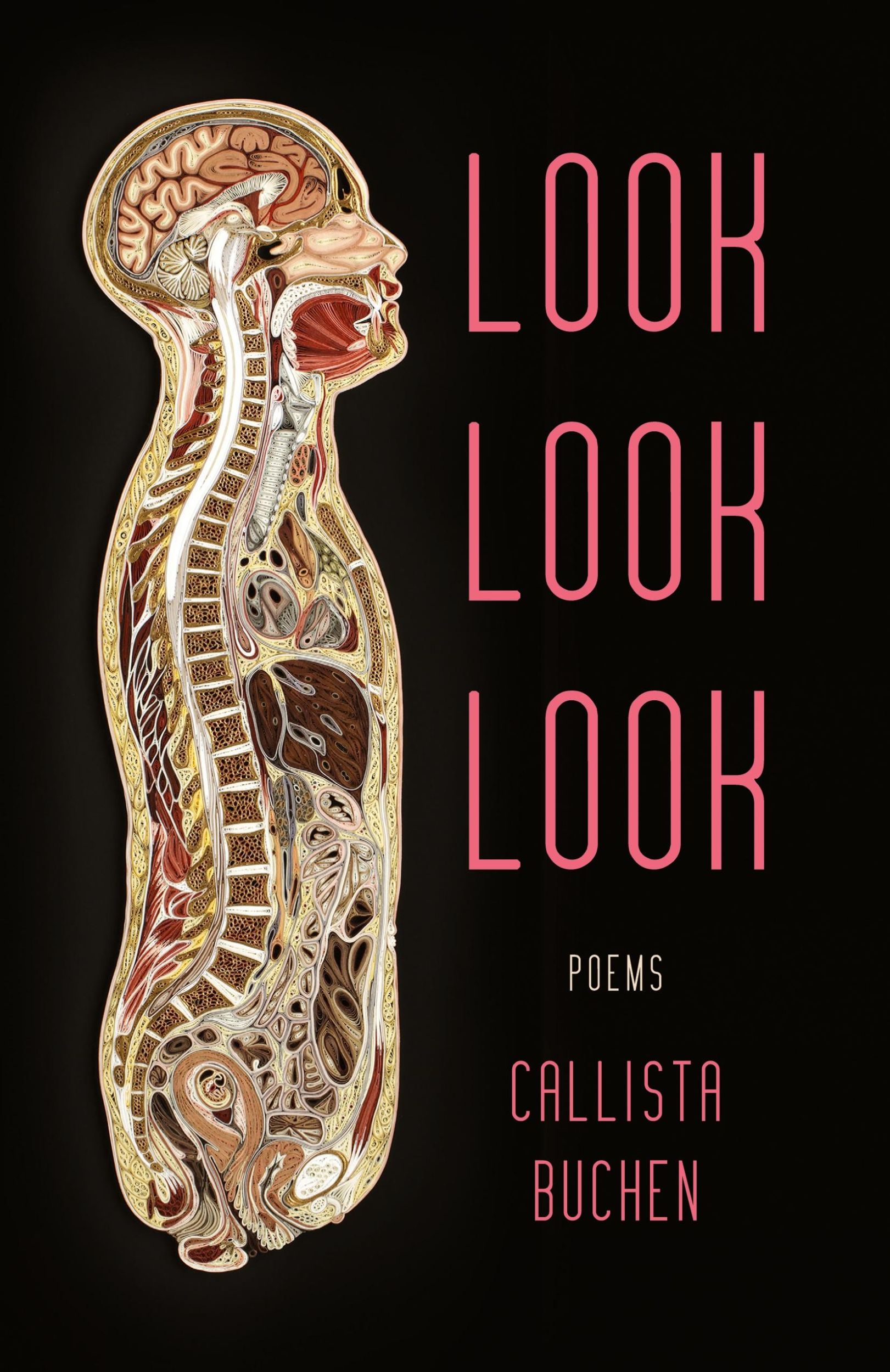 Cover: 9781625570093 | Look Look Look | Callista Buchen | Taschenbuch | Englisch | 2019