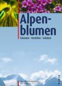Cover: 9783800132430 | Alpenblumen | Erkennen, verstehen, schützen. 280 Artbeschreibungen
