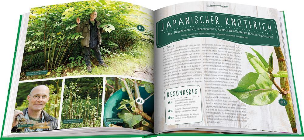 Bild: 9783945429662 | Die Wildkräuter-Werkstatt | Peter Becker (u. a.) | Taschenbuch | 2017
