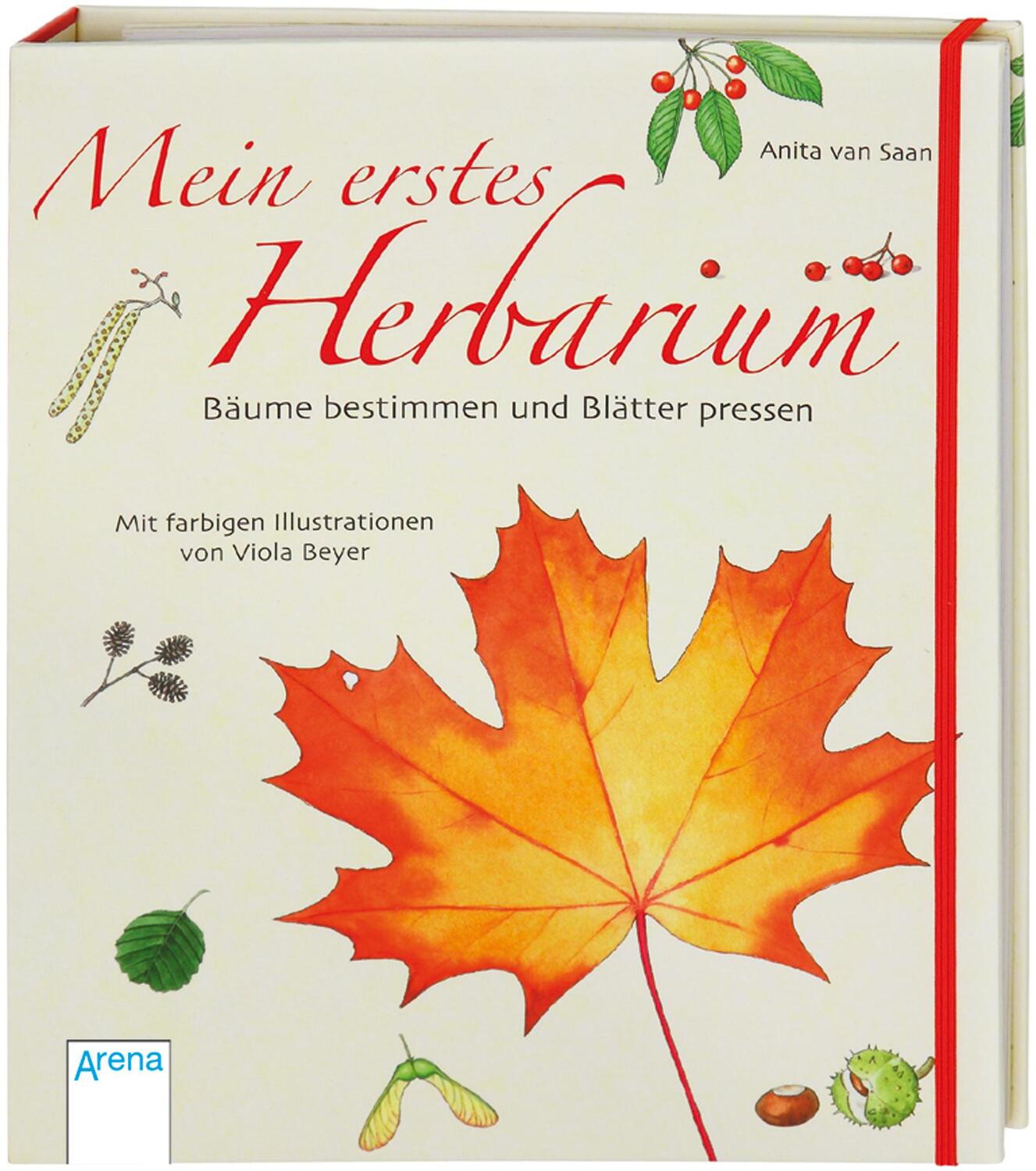 Cover: 9783401452562 | Mein erstes Herbarium - Bäume bestimmen und Blätter pressen | Saan