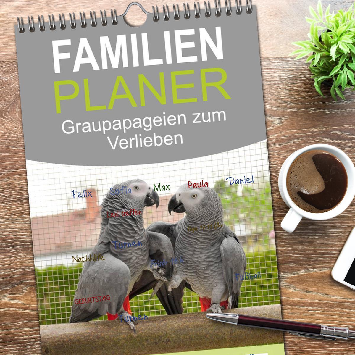 Bild: 9783457112083 | Familienplaner 2025 - Graupapageien zum Verlieben mit 5 Spalten...