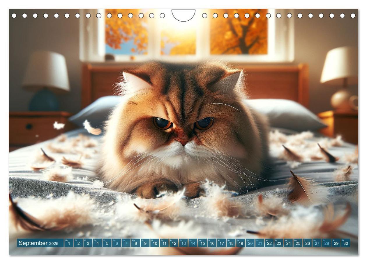 Bild: 9783383793226 | Katzenlaunen - Durch das Jahr mit Fluff und Grummeln (Wandkalender...