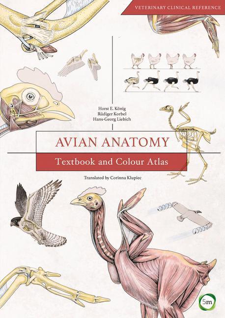 Cover: 9781910455609 | Avian Anatomy 2nd Edition: Textbook and Colour Atlas | Konig | Buch