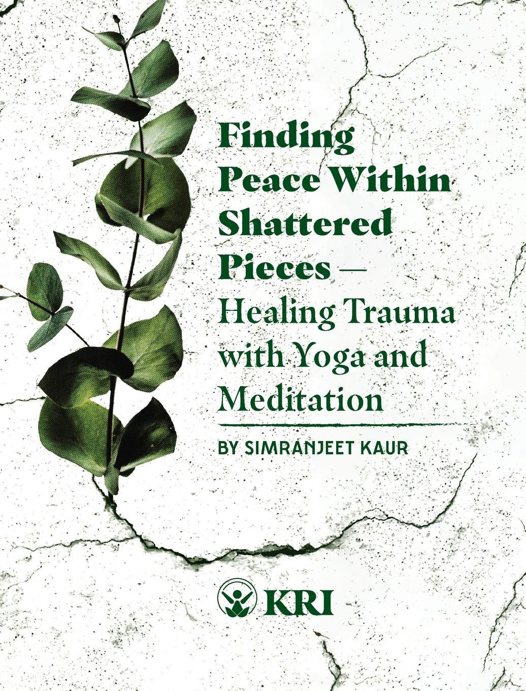 Cover: 9780963984791 | Finding Peace Within Shattered Pieces | Simranjeet Kaur | Taschenbuch