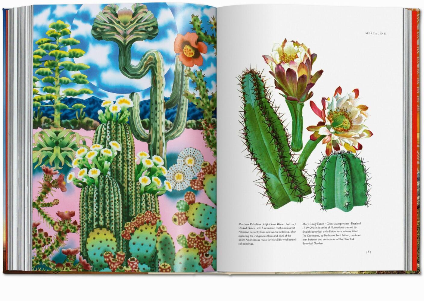 Bild: 9783836585675 | La Magia de Las Plantas. La Biblioteca de Esoterismo | Jessica Hundley