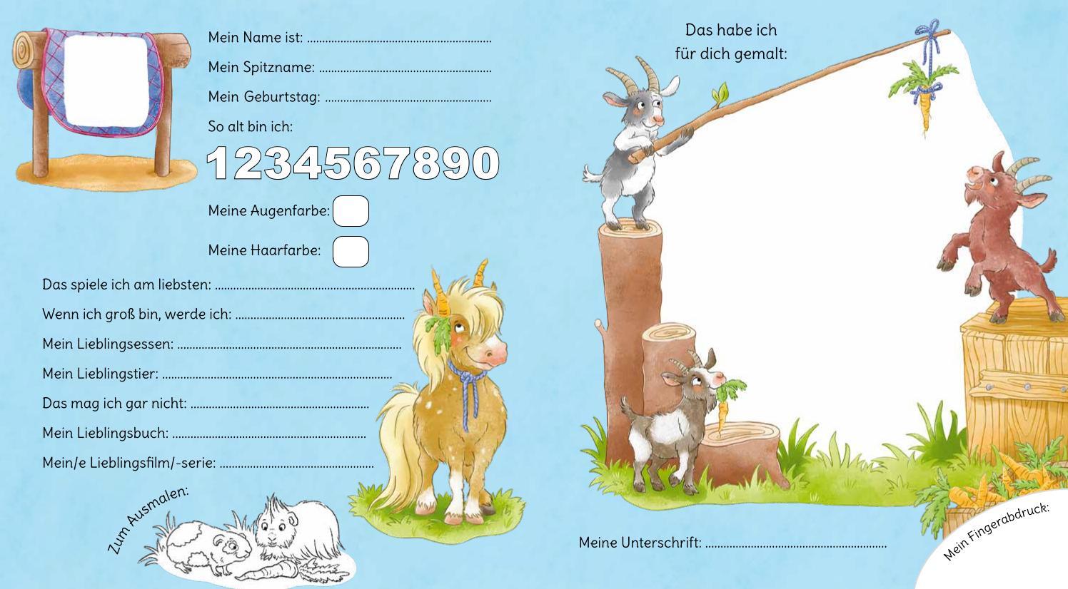 Bild: 9783780664884 | Meine Kindergartenfreunde | Ponys - mit Mähne auf dem Cover | Hecher