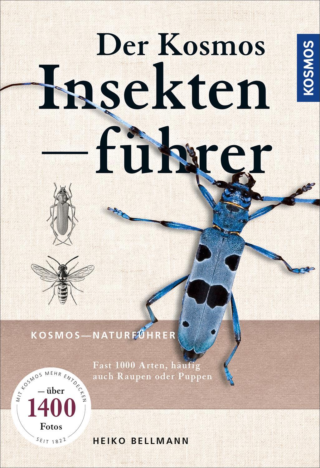Cover: 9783440155288 | Der KOSMOS Insektenführer | Heiko Bellmann | Taschenbuch | Deutsch
