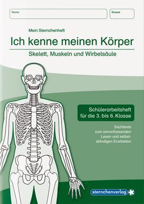 Cover: 9783939293347 | Ich kenne meinen Körper - Skelett, Muskeln und Wirbelsäule | Langhans